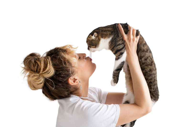 Top Quality Local Pet Sitters: Find the Perfect Care for Your Lovely Friends, Just Nearby You